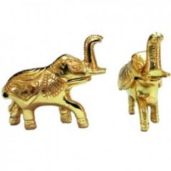 Elephant Brass