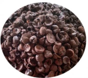 Beetel Nuts (6 pieces)