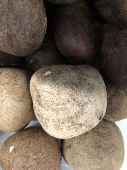 Copra Dry Coconuts